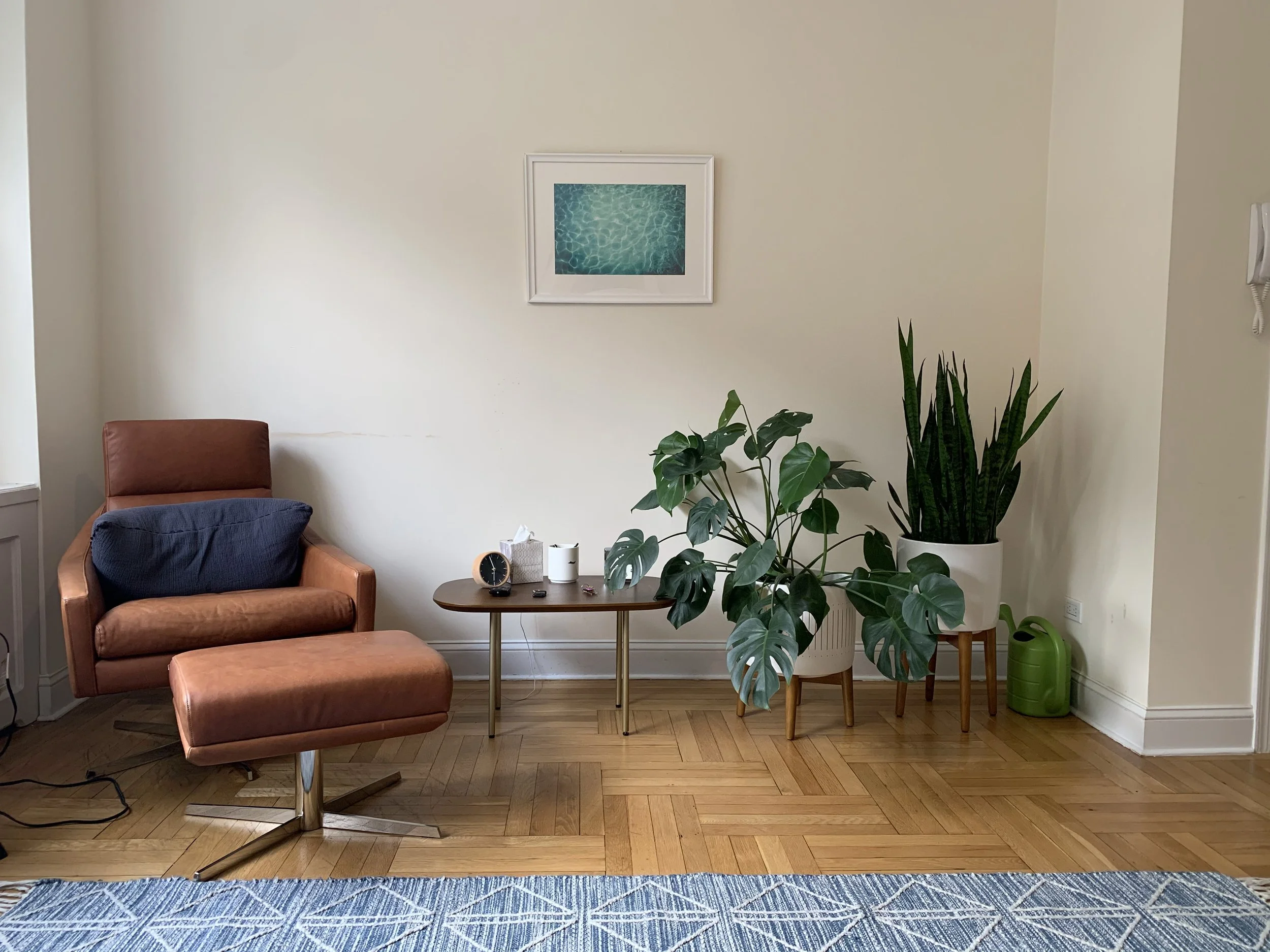 Jocelyn Goldberg's Upper West Side therapy office with natural light and seating